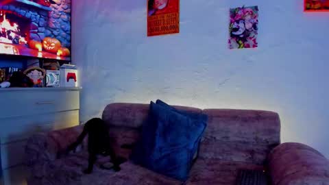 Drako online show from October 24, 2025, 12:23 pm