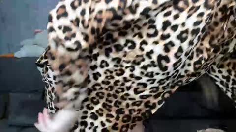 dreamesoul online show from November 7, 2025, 11:32 am