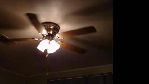 Snapshot of drippingwetfilipinapussy chatting on November 9, 2025, 11:58 pm WetFilipinaPussy online show from November 9, 2025, 11:58 pm