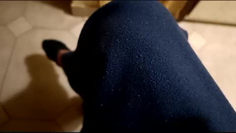 Snapshot of dthedog12 chatting on February 21, 2025, 12:27 am dthedog12 online show from February 21, 2025, 12:27 am