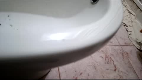 Snapshot of dthedog12 chatting on February 24, 2025, 7:52 pm dthedog12 online show from February 24, 2025, 7:52 pm