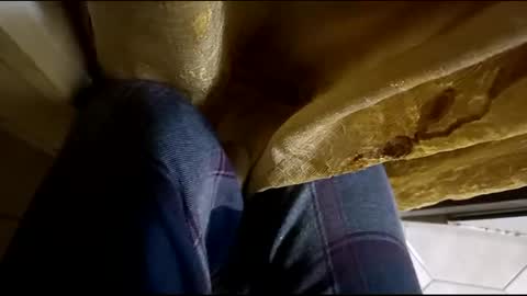 Snapshot of dthedog12 chatting on March 12, 2025, 2:09 am dthedog12 online show from March 12, 2025, 2:09 am