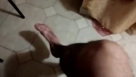 Snapshot of dthedog12 chatting on September 22, 2025, 9:28 pm dthedog12 online show from September 22, 2025, 9:28 pm