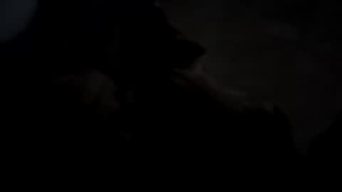 Snapshot of dthedog12 chatting on October 5, 2025, 2:43 am dthedog12 online show from October 5, 2025, 2:43 am