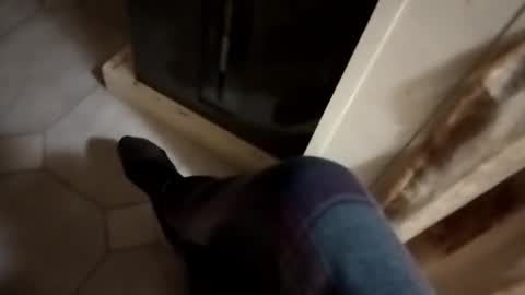 Snapshot of dthedog12 chatting on October 24, 2025, 1:03 am dthedog12 online show from October 24, 2025, 1:03 am