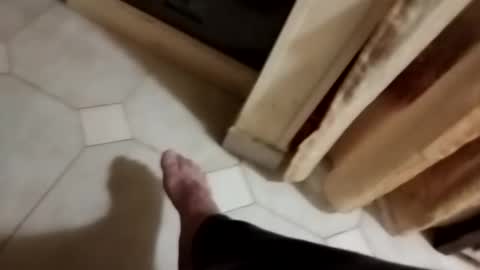 Snapshot of dthedog12 chatting on November 8, 2025, 10:30 pm dthedog12 online show from November 8, 2025, 10:30 pm