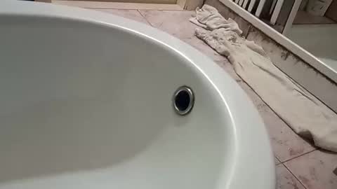 Snapshot of dthedog12 chatting on November 9, 2025, 9:46 pm dthedog12 online show from November 9, 2025, 9:46 pm