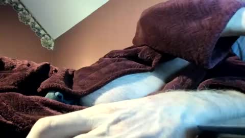 Snapshot of dug38 chatting on November 16, 2025, 3:01 am Doug online show from November 16, 2025, 3:01 am