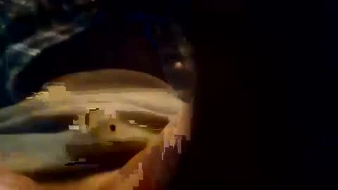 dusterdime online show from October 8, 2025, 5:38 am