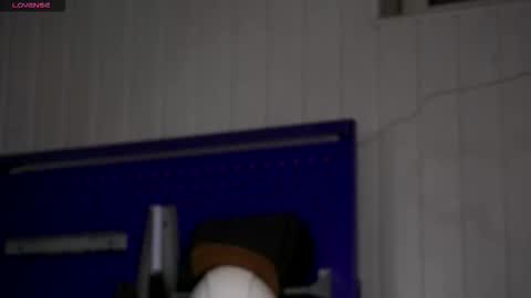 Snapshot of dustyn_fox chatting on November 23, 2025, 3:34 pm Dustyn online show from November 23, 2025, 3:34 pm