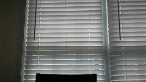 Snapshot of ebony8ivory chatting on October 29, 2025, 3:03 pm americnbarbie online show from October 29, 2025, 3:03 pm