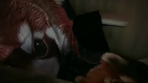 Snapshot of ebony8ivory chatting on November 13, 2025, 1:04 am americnbarbie online show from November 13, 2025, 1:04 am