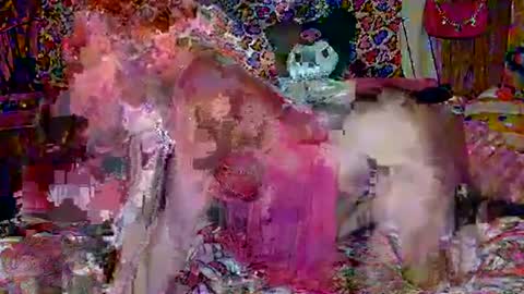 Sparkly Haile online show from February 18, 2025, 3:42 am