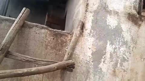 Snapshot of eldie69 chatting on November 29, 2025, 10:51 am eldie69 online show from November 29, 2025, 10:51 am