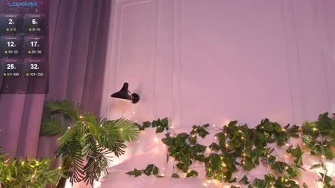 Elfa online show from January 22, 2025, 12:17 pm