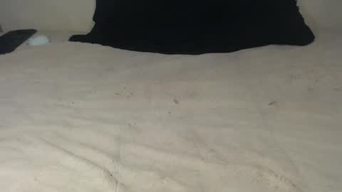 elgsslt online show from October 21, 2025, 12:00 am