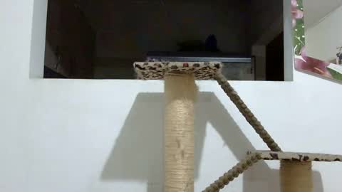 Snapshot of elizabeth_martinez_ chatting on January 18, 2025, 2:03 am Elizabeth Martinez online show from January 18, 2025, 2:03 am