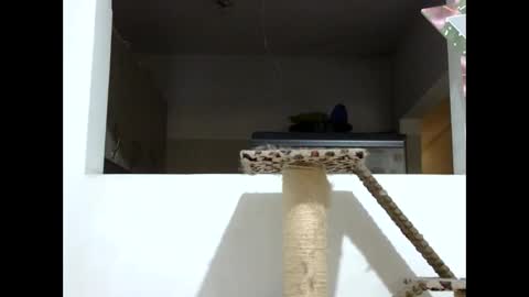 Snapshot of elizabeth_martinez_ chatting on January 19, 2025, 8:09 pm Elizabeth Martinez online show from January 19, 2025, 8:09 pm