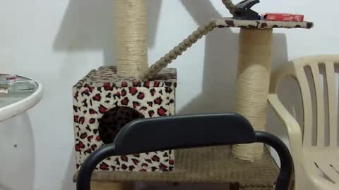 Snapshot of elizabeth_martinez_ chatting on September 16, 2025, 2:51 pm Elizabeth Martinez online show from September 16, 2025, 2:51 pm