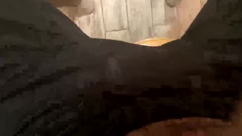 Snapshot of elparador chatting on December 8, 2024, 7:58 am El Parador online show from December 8, 2024, 7:58 am