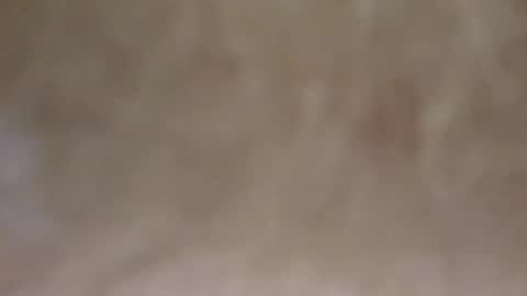 emilmirror online show from February 11, 2025, 7:54 am