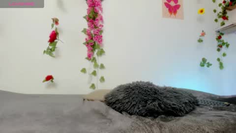 Emily  online show from February 6, 2025, 6:35 pm