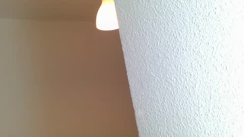 Snapshot of emmie_xxx chatting on January 28, 2025, 8:25 am emmie online show from January 28, 2025, 8:25 am