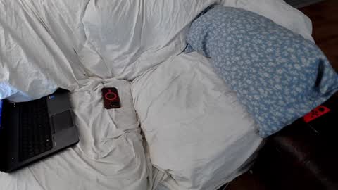 Snapshot of emodream1998media chatting on January 8, 2025, 6:31 am EmoDream1998 online show from January 8, 2025, 6:31 am