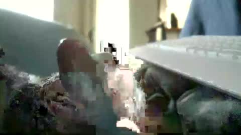 Snapshot of encormoi chatting on November 11, 2025, 8:47 am encormoi online show from November 11, 2025, 8:47 am