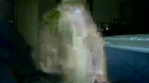 Snapshot of encormoi chatting on November 14, 2025, 8:46 am encormoi online show from November 14, 2025, 8:46 am