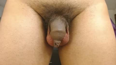 Snapshot of engiel_phoenix chatting on January 31, 2025, 11:46 am Engiel phoenix instagram engiel 13 online show from January 31, 2025, 11:46 am