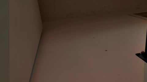 enzo_steel online show from November 3, 2025, 7:37 pm