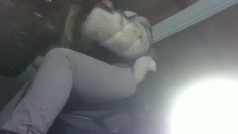 Eskela911 online show from February 28, 2025, 3:26 am