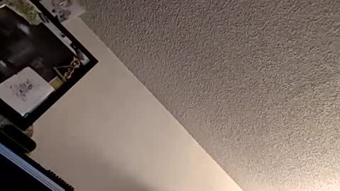 Snapshot of et528007 chatting on November 7, 2025, 5:07 am et528007 online show from November 7, 2025, 5:07 am