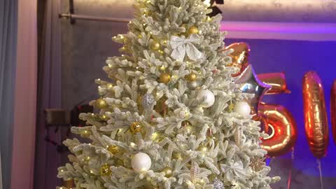 Snapshot of eva_fashionista chatting on December 28, 2024, 6:50 pm Eva online show from December 28, 2024, 6:50 pm