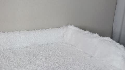 Snapshot of eva_varnerr chatting on February 3, 2025, 1:19 pm eva varnerr online show from February 3, 2025, 1:19 pm