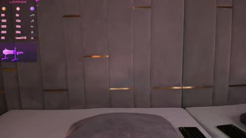 Snapshot of evalims chatting on January 29, 2025, 3:58 pm EVA online show from January 29, 2025, 3:58 pm