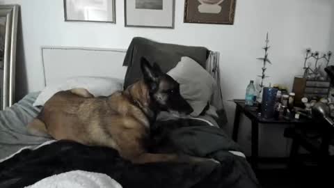 EV Parrish online show from February 2, 2025, 4:48 am