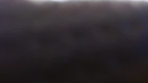 Snapshot of exoticlexi chatting on October 5, 2025, 7:45 pm Exoticlexxii online show from October 5, 2025, 7:45 pm