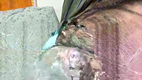 Snapshot of ezzz_au20 chatting on November 2, 2025, 5:32 am ezzz_au20 online show from November 2, 2025, 5:32 am