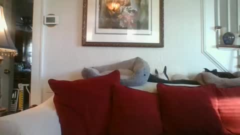 Snapshot of fairmount31 chatting on January 7, 2025, 1:46 pm fairmount31 online show from January 7, 2025, 1:46 pm