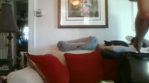 Snapshot of fairmount31 chatting on January 10, 2025, 1:31 pm fairmount31 online show from January 10, 2025, 1:31 pm