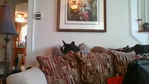 Snapshot of fairmount31 chatting on February 19, 2025, 7:16 pm fairmount31 online show from February 19, 2025, 7:16 pm