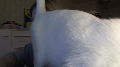 Snapshot of fairydreams_ chatting on November 6, 2025, 1:01 pm Arisha online show from November 6, 2025, 1:01 pm