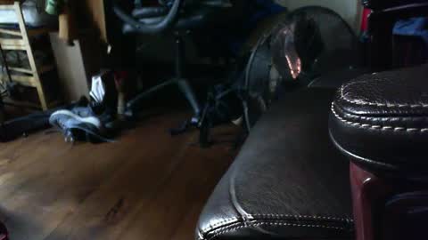 Snapshot of farmershawn chatting on September 15, 2025, 1:33 pm Shawn online show from September 15, 2025, 1:33 pm