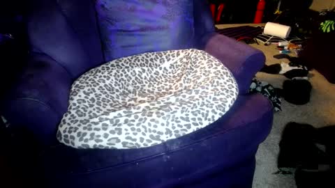 Farrah online show from October 8, 2025, 5:16 am