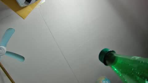 Snapshot of fatfreddythecat chatting on February 19, 2025, 12:25 am Fred. online show from February 19, 2025, 12:25 am