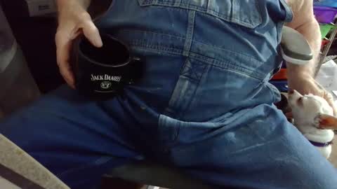 Snapshot of fatfreddythecat chatting on October 1, 2025, 7:42 pm Fred. online show from October 1, 2025, 7:42 pm