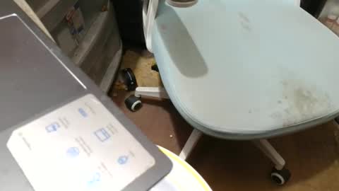 Snapshot of fatfreddythecat chatting on November 7, 2025, 8:53 pm Fred. online show from November 7, 2025, 8:53 pm