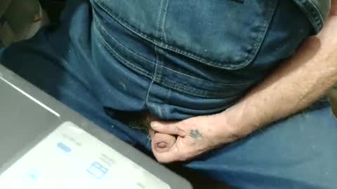 Snapshot of fatfreddythecat chatting on November 12, 2025, 9:03 pm Fred. online show from November 12, 2025, 9:03 pm